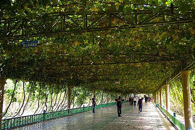 Bloober解释为何选择《寂静岭2》而不是一代来重制